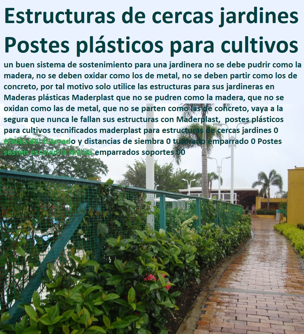 Barreras rompevientos barreras naturales cortaviento estructuras soportes de cercas vivas 0 árbol rompevientos estructuras de cercas Maderplast 0 especies de árboles para cortinas rompevientos enmallado vallas CULTIVOS TECNIFICADOS, INVERNADEROS, Semilleros, Bancos De Siembra, Hidroponía, Agricultura, Cosecha, Poscosecha, Tutores Para Flores, Cable Vía Bananas Aromáticas, cerca barrera viva Barreras rompevientos barreras naturales cortaviento estructuras soportes de cercas vivas 0 árbol rompevientos estructuras de cercas Maderplast 0 especies de árboles para cortinas rompevientos enmallado vallas cerca barrera viva